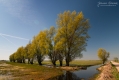 033_Biebrza - kwiecien 2012
